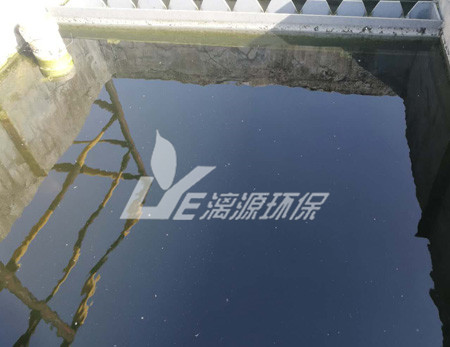 肉类加工废水处理工艺的选择有哪些呢？