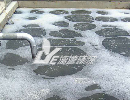 杏鲍菇废水处理该选用“混凝沉淀”还是“混凝气浮”？