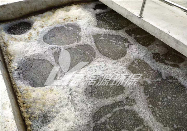 豆制品废水处理造成污泥上浮的原因分析