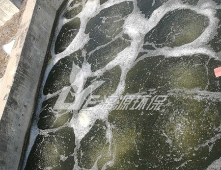 豆制品加工污水处理方法