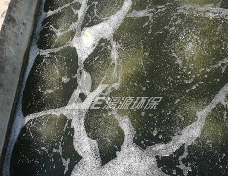 蜜饯生产废水处理讲解